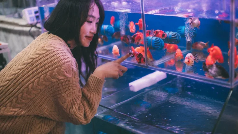 Dosing for Reef Tanks: Two-Part, Kalkwasser, and Balling
