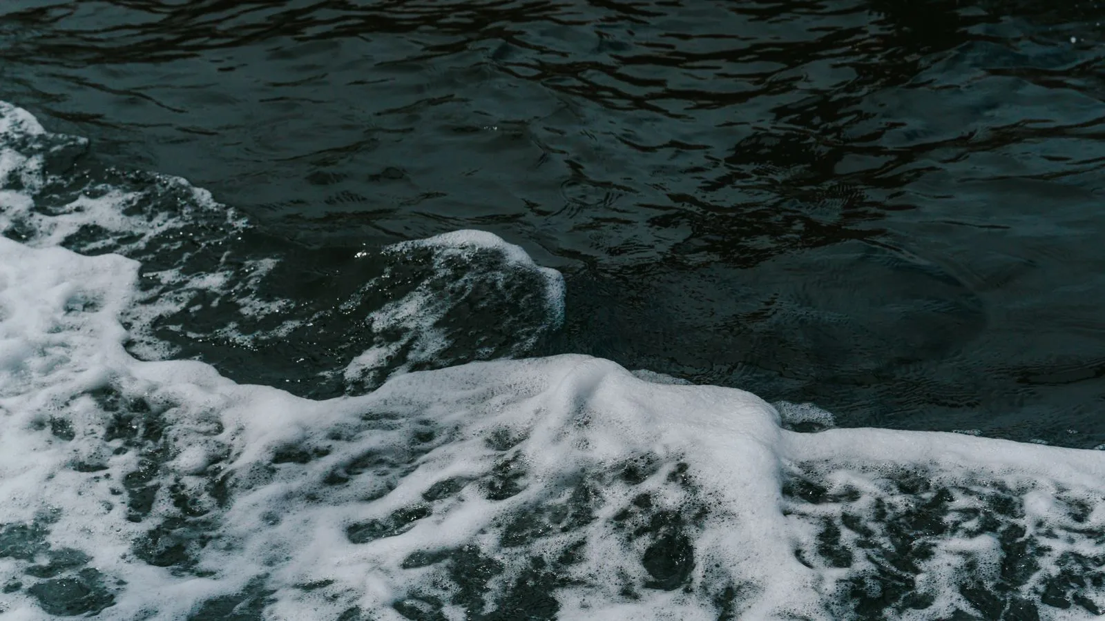 Salinity and Specific Gravity: Mixing Saltwater Correctly