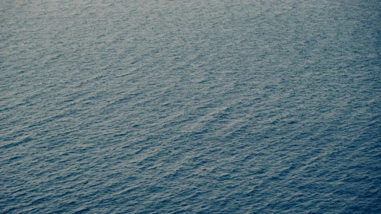 Why Stability Beats Perfection in Reef Water Chemistry