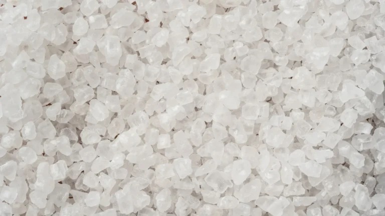 Best Salt Mixes for Reef Aquariums Compared