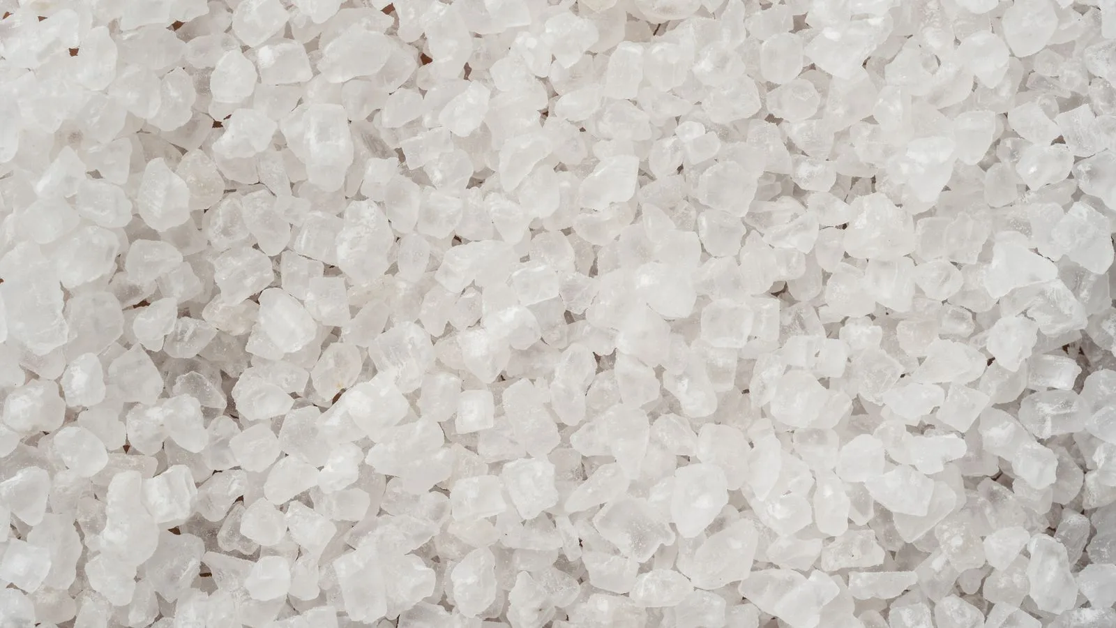 Best Salt Mixes for Reef Aquariums Compared