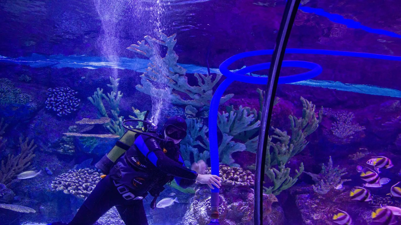 The Reef Tank Maintenance Schedule: Daily to Yearly