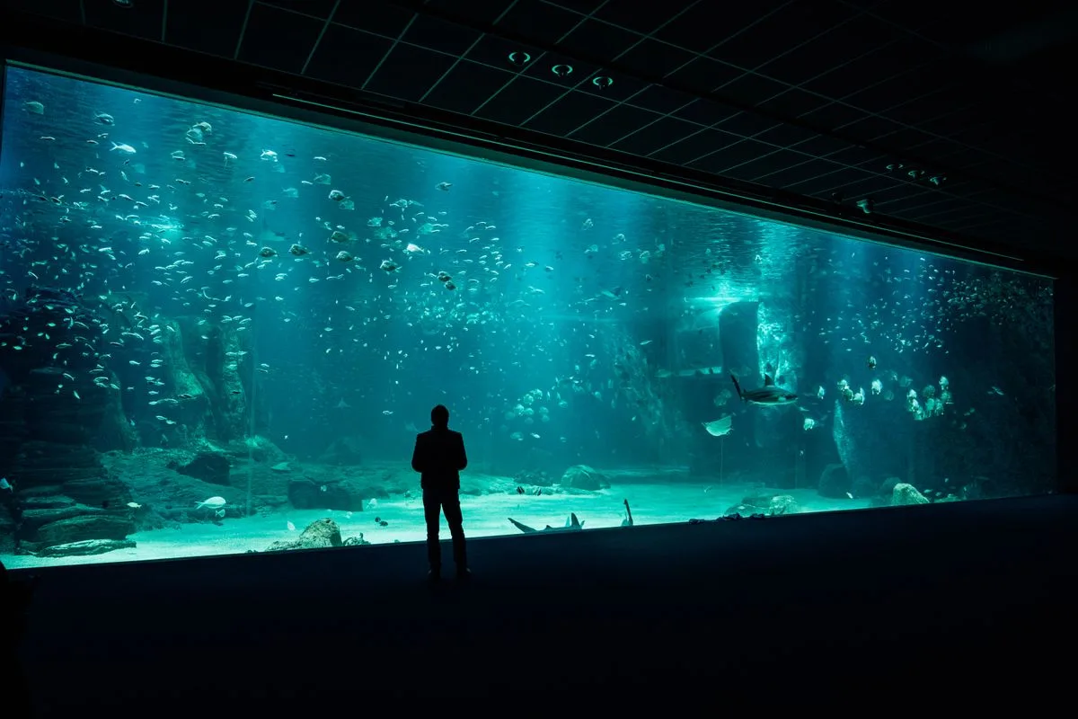 cycle saltwater tank — empty fish tank