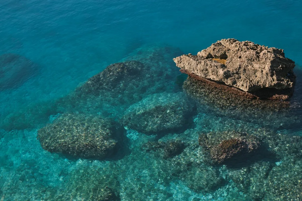 live rock vs dry rock — reef rock