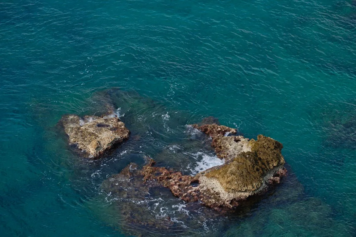 live rock vs dry rock — marine aquarium rock