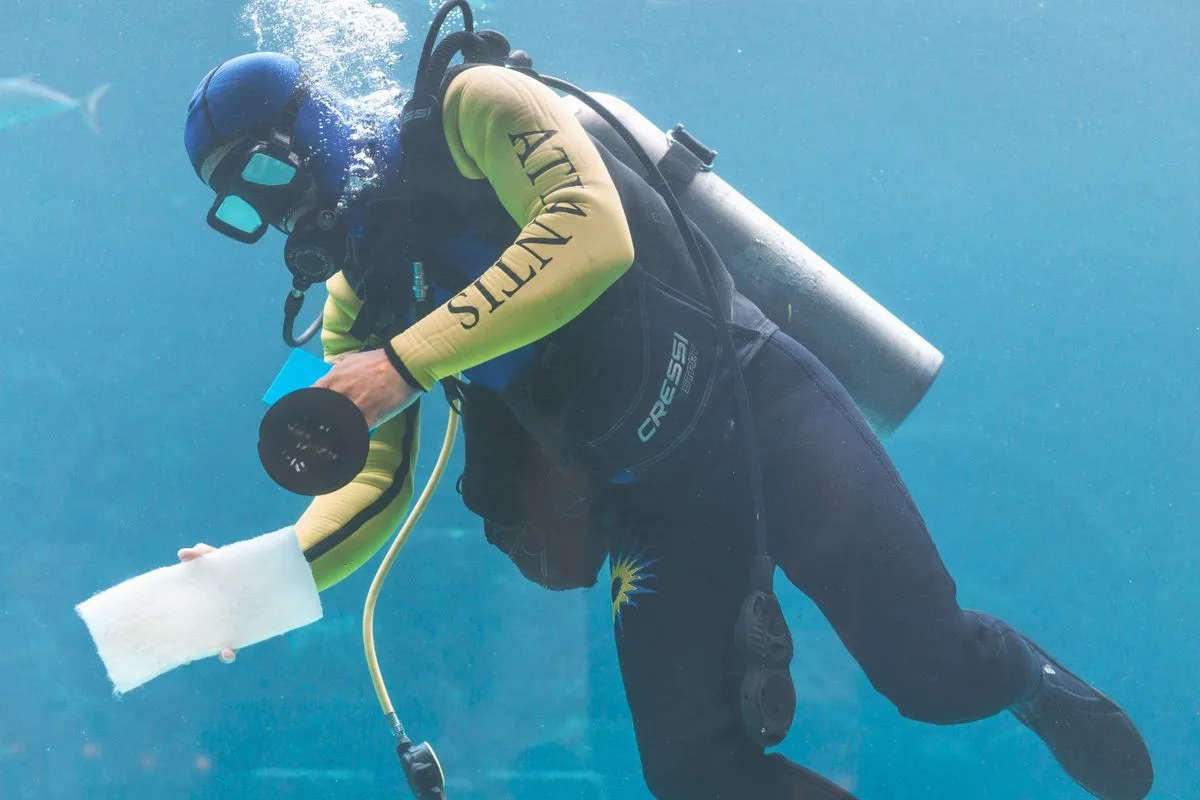 reef tank maintenance schedule — reef tank