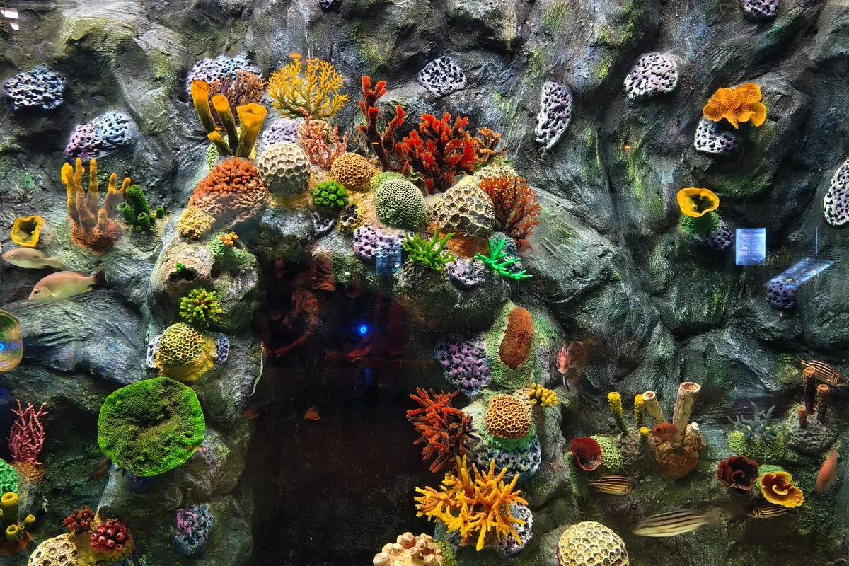 reef aquarium lighting — aquarium led