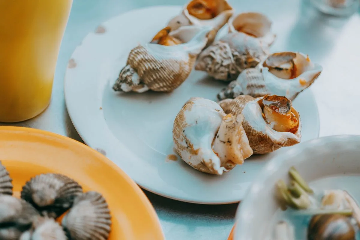 reef cleanup crew — marine invertebrate