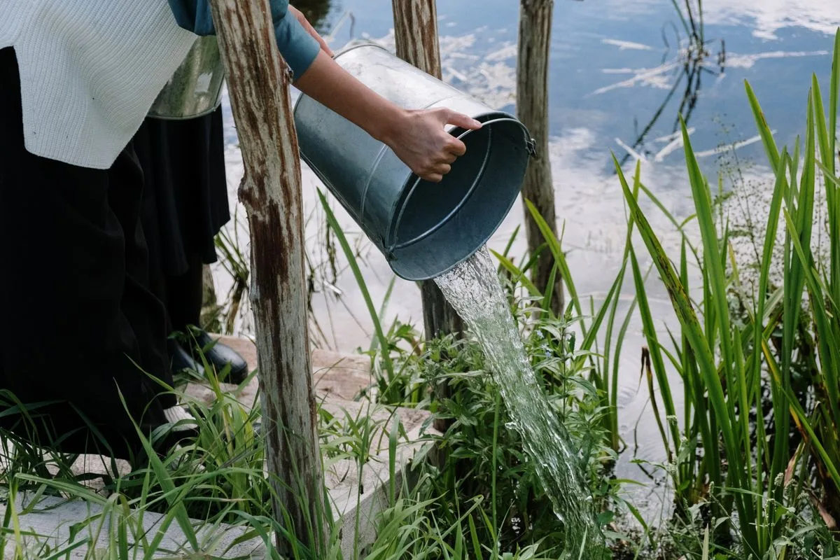 saltwater water change — aquarium siphon