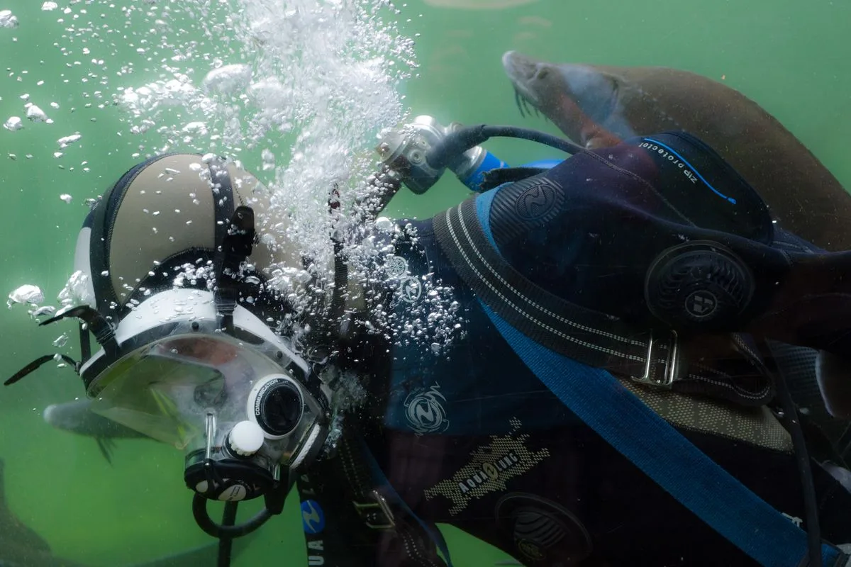 cleaning reef equipment — aquarium equipment