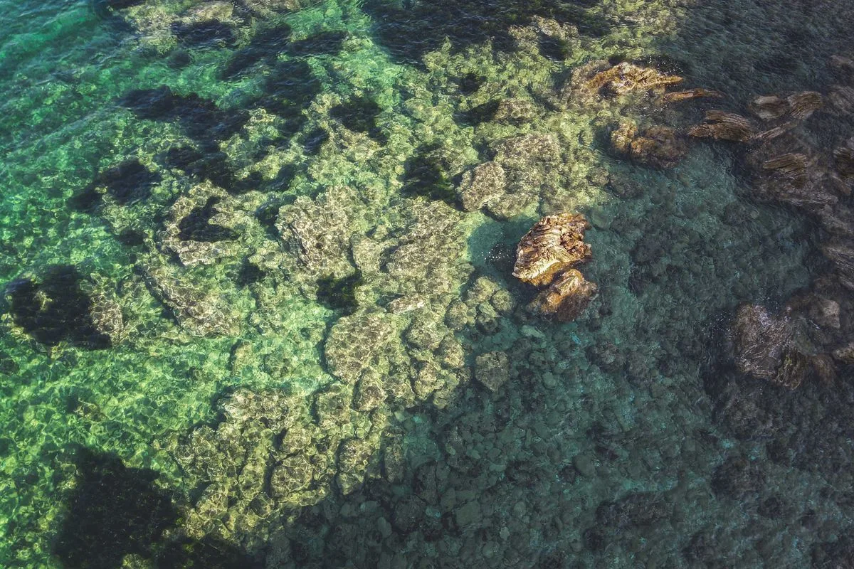 fishless cycling saltwater — reef rock